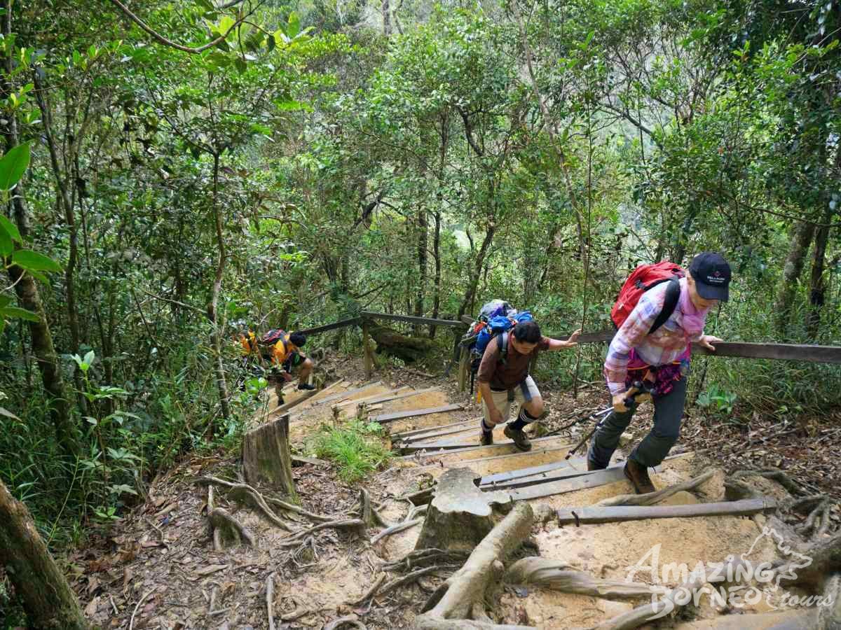 Hikers on the trail